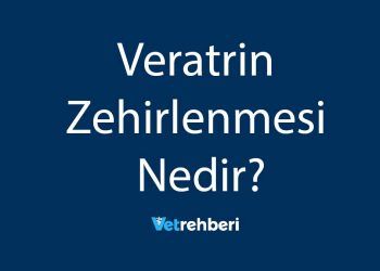 Veratrin Zehirlenmesi Nedir?