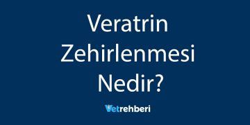 Veratrin Zehirlenmesi Nedir?