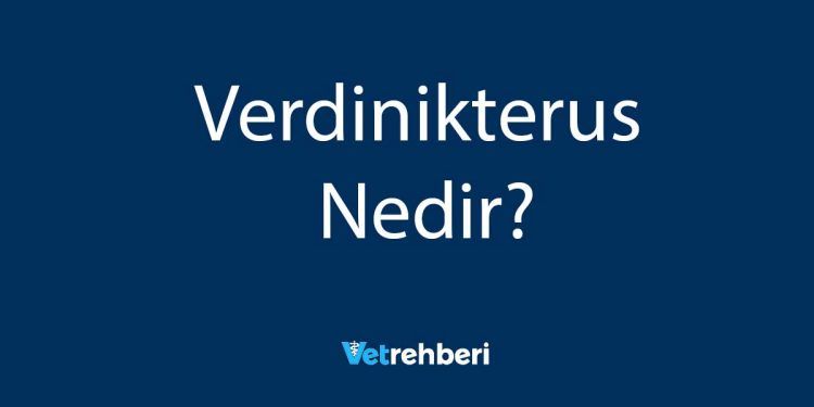 Verdinikterus Nedir?