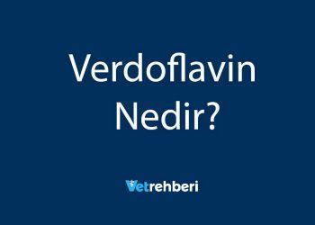 Verdoflavin Nedir?