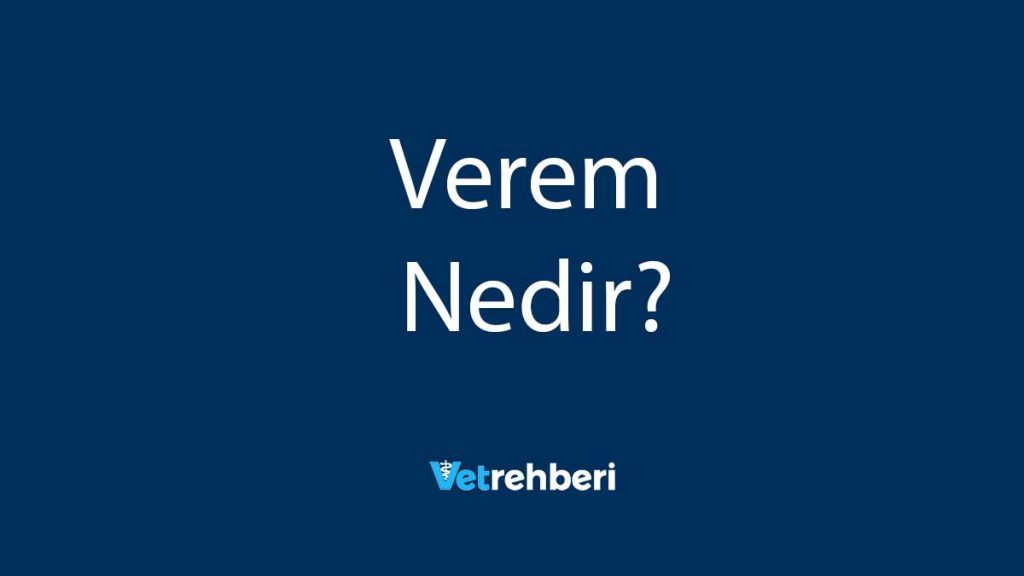 Verem Nedir?