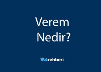 Verem Nedir?