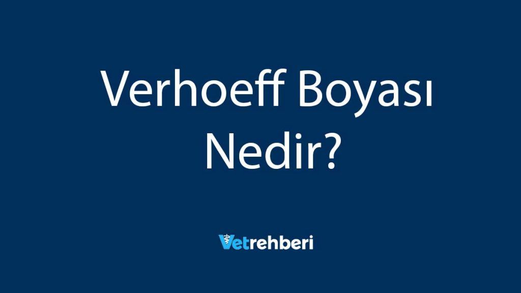 Verhoeff Boyası Nedir?