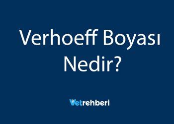 Verhoeff Boyası Nedir?