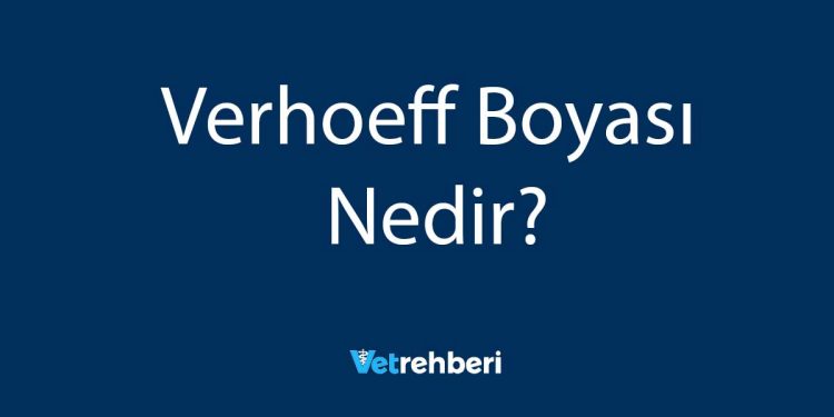 Verhoeff Boyası Nedir?