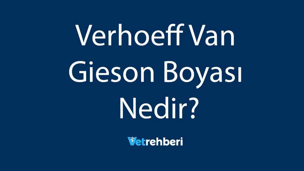 Verhoeff Van Gieson Boyası Nedir?