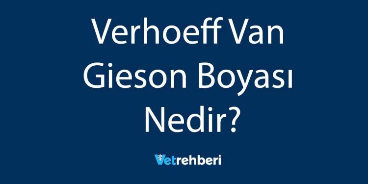 Verhoeff Van Gieson Boyası Nedir?