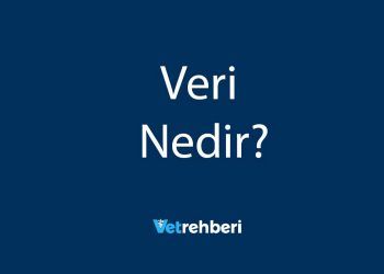 Veri Nedir?