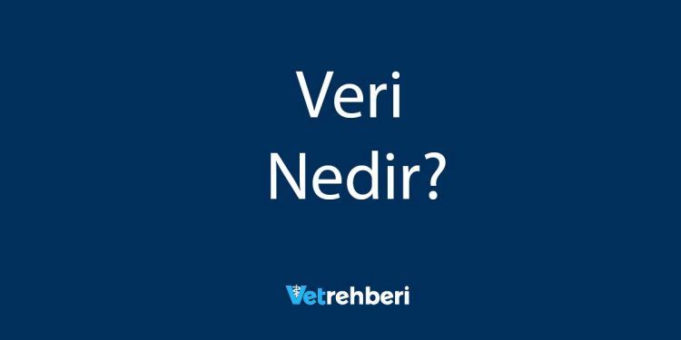 Veri Nedir?