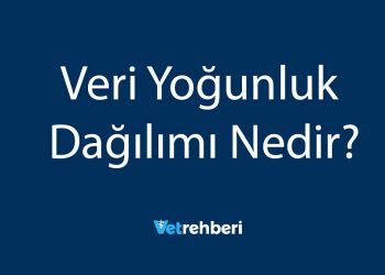 Veri Yoğunluk Dağılımı Nedir?