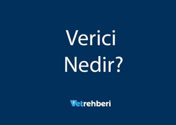Verici Nedir?