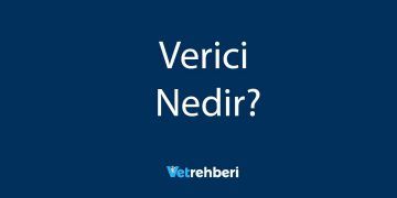 Verici Nedir?