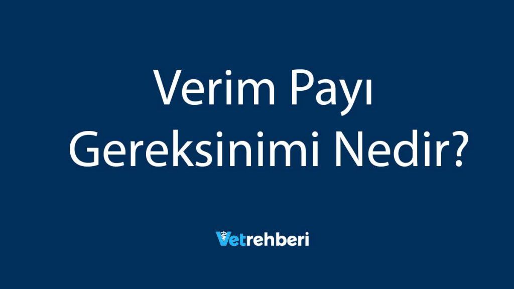 Verim Payı Gereksinimi Nedir?