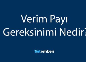 Verim Payı Gereksinimi Nedir?