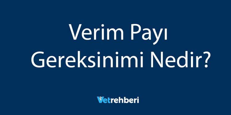 Verim Payı Gereksinimi Nedir?