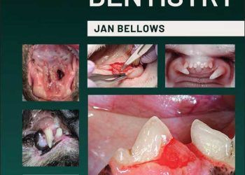 Kedi Diş Hekimliği, 2. Baskı