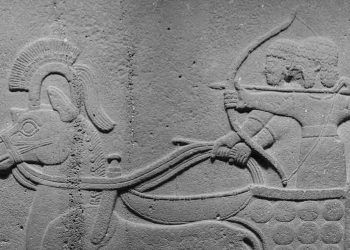 Hititlerde Veteriner Hekimlik