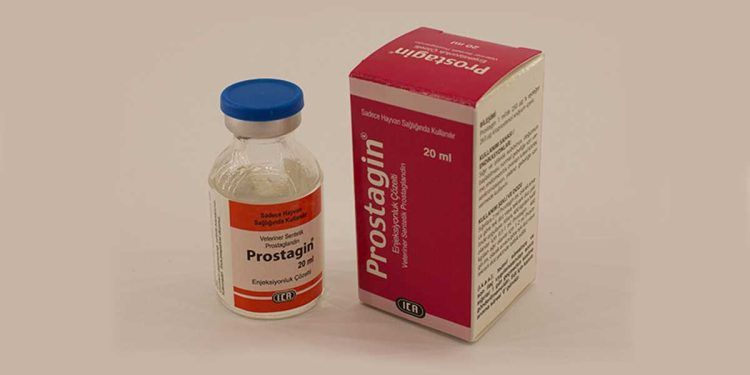 Prostagin