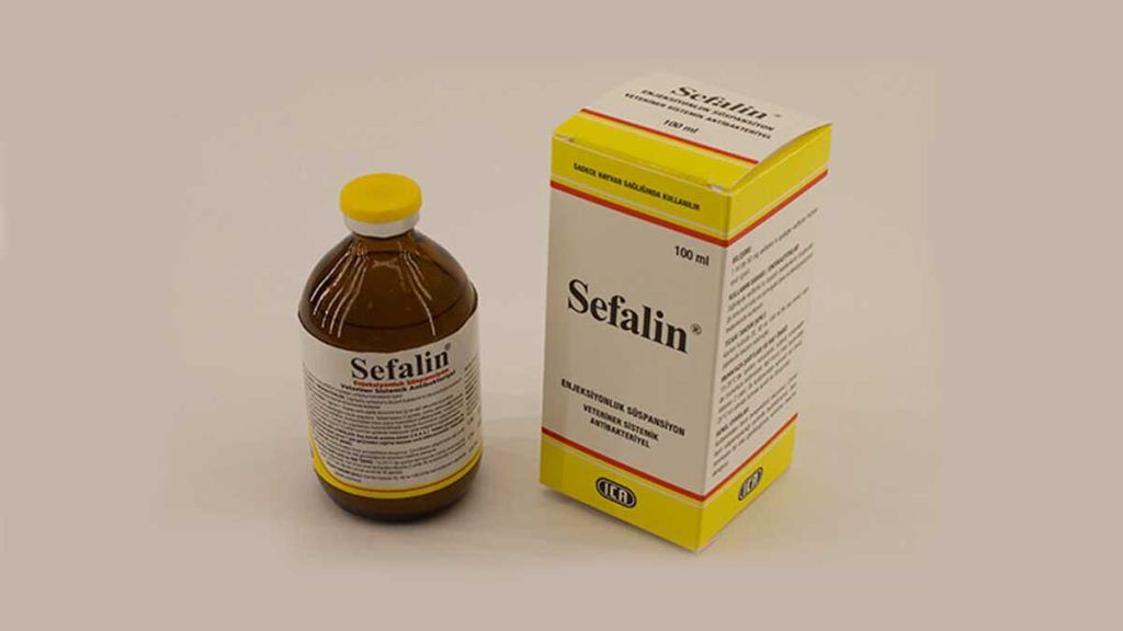 Sefalin