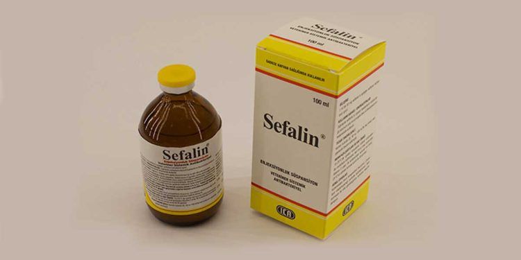 Sefalin