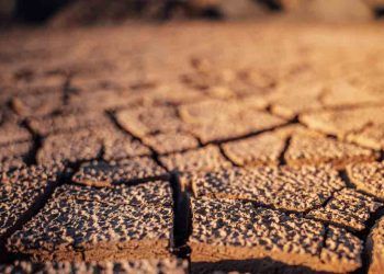 Toprağı Aç, Hayvanı Aç, İnsanı Aç Türkiye