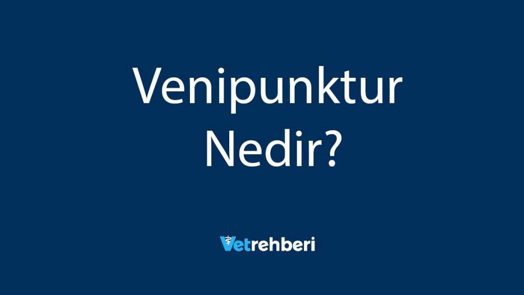 Venipunktur Nedir?