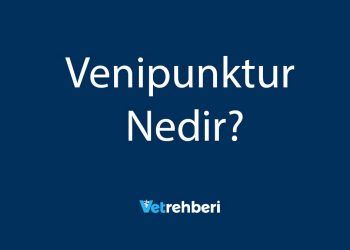 Venipunktur Nedir?