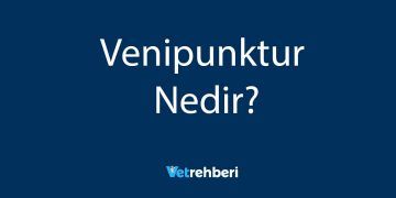 Venipunktur Nedir?