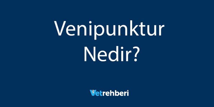 Venipunktur Nedir?