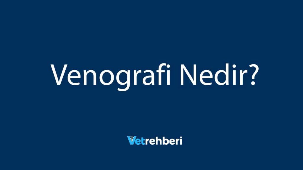 Venografi Nedir?