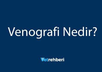 Venografi Nedir?