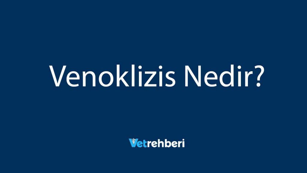 Venoklizis Nedir?