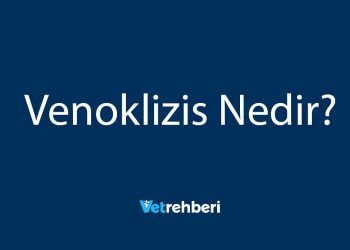 Venoklizis Nedir?