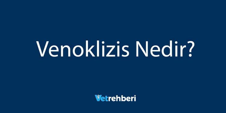 Venoklizis Nedir?