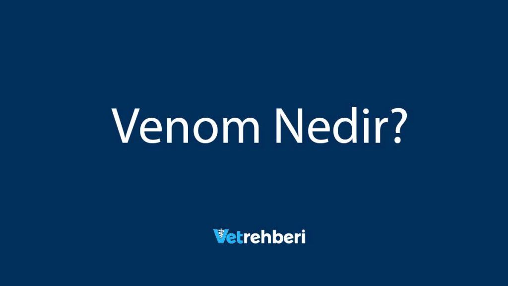 Venom Nedir?