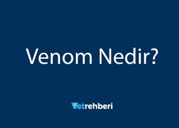 Venom Nedir?