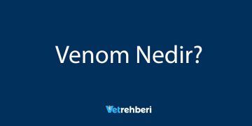 Venom Nedir?
