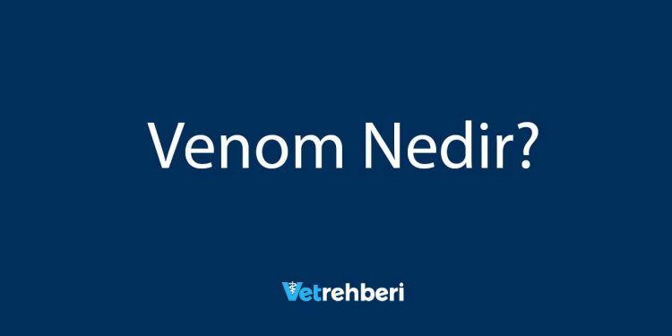 Venom Nedir?