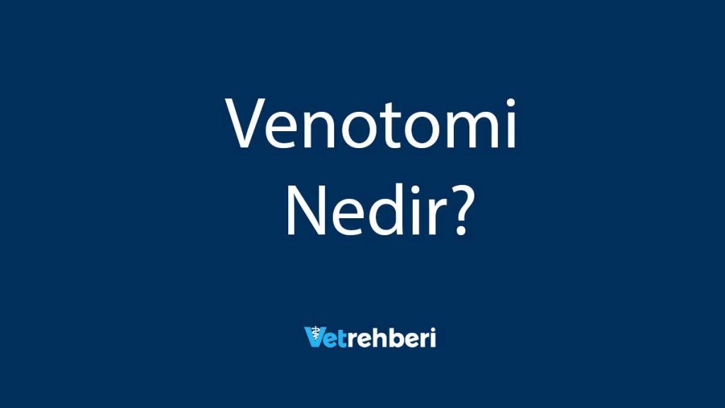 Venotomi Nedir?