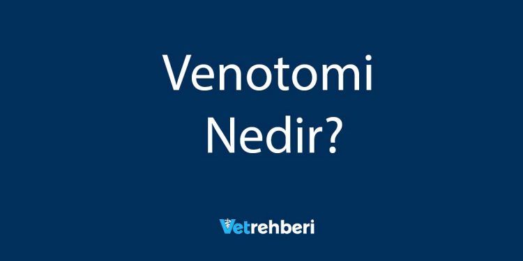 Venotomi Nedir?