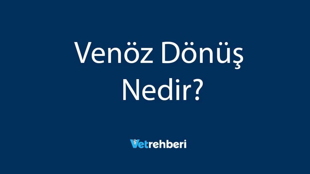 Venöz Dönüş Nedir?