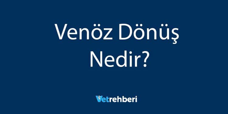 Venöz Dönüş Nedir?