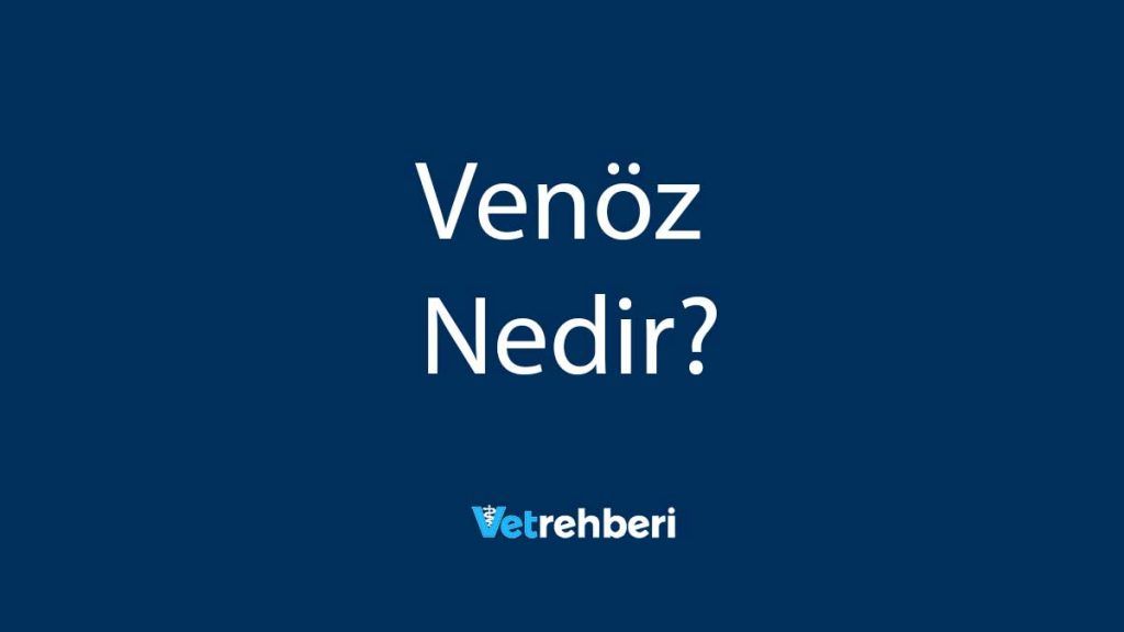 Venöz Nedir?