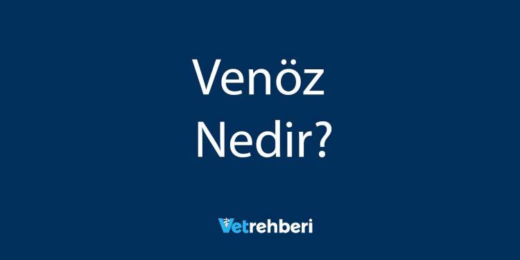 Venöz Nedir?