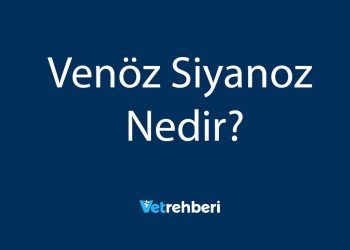 Venöz Siyanoz Nedir?