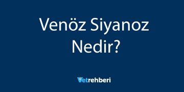 Venöz Siyanoz Nedir?