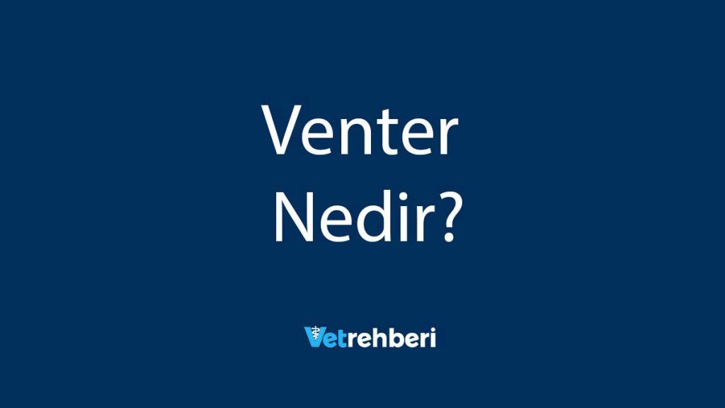 Venter Nedir?