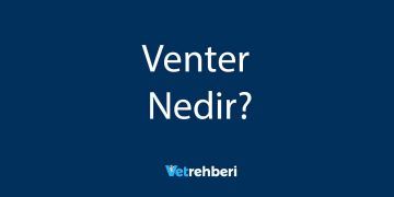 Venter Nedir?