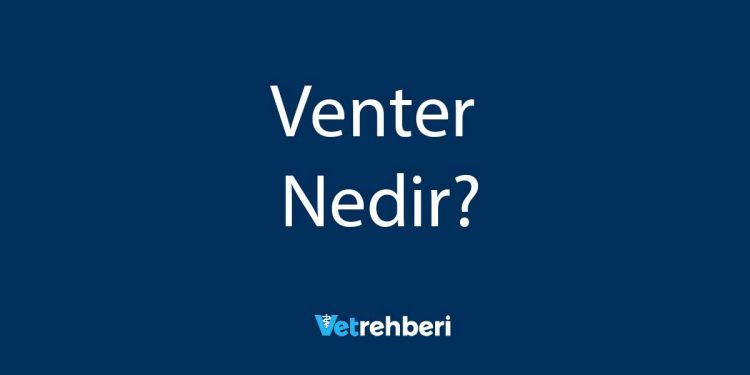 Venter Nedir?