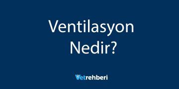 Ventilasyon Nedir?